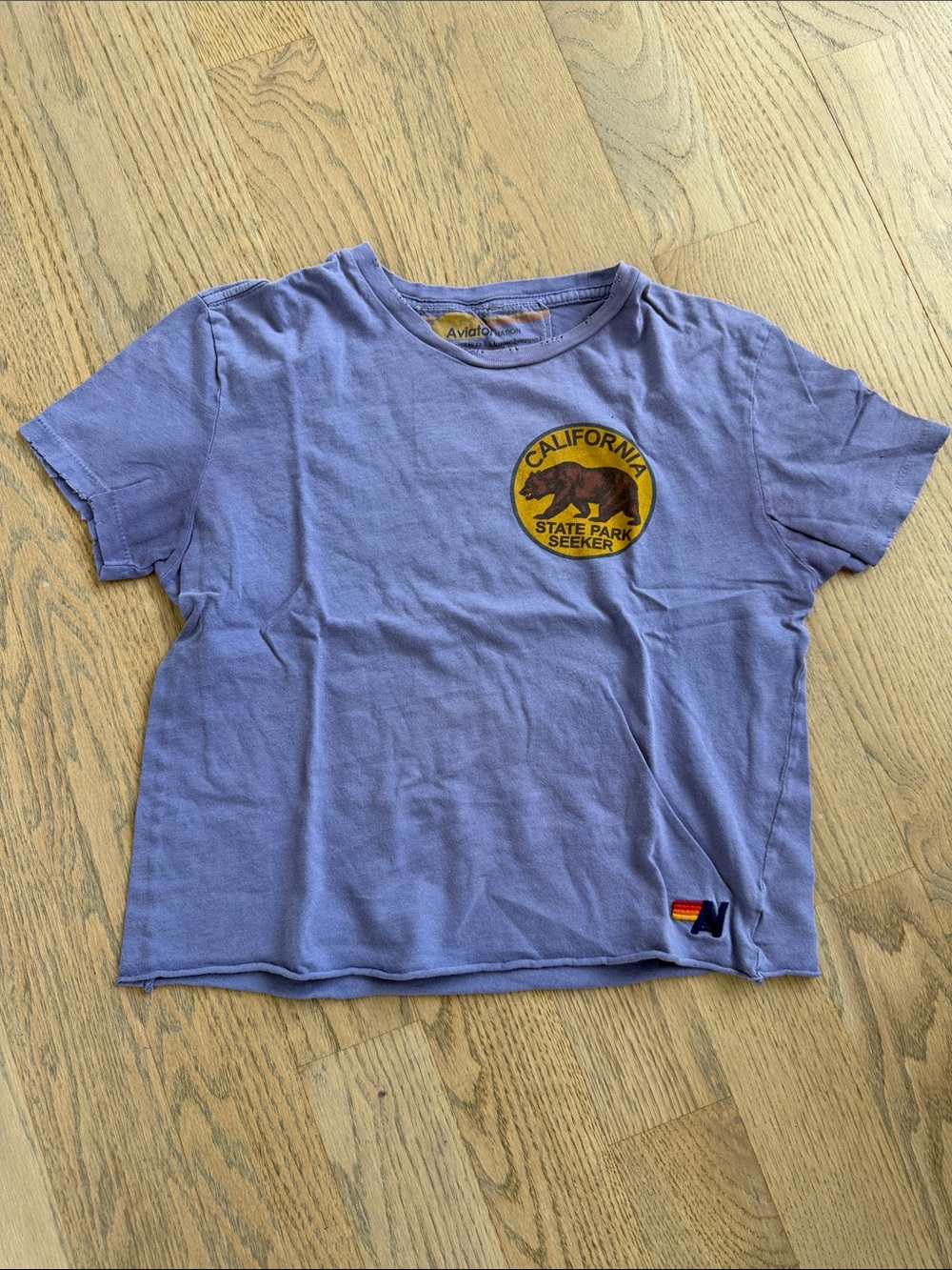 Aviator Nation Lavender California State Park Seeker Tee